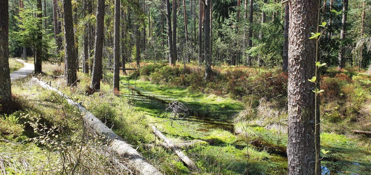 Eco Domek Z Duzym Ogrodem I Widokiem Murzasichle Εξωτερικό φωτογραφία