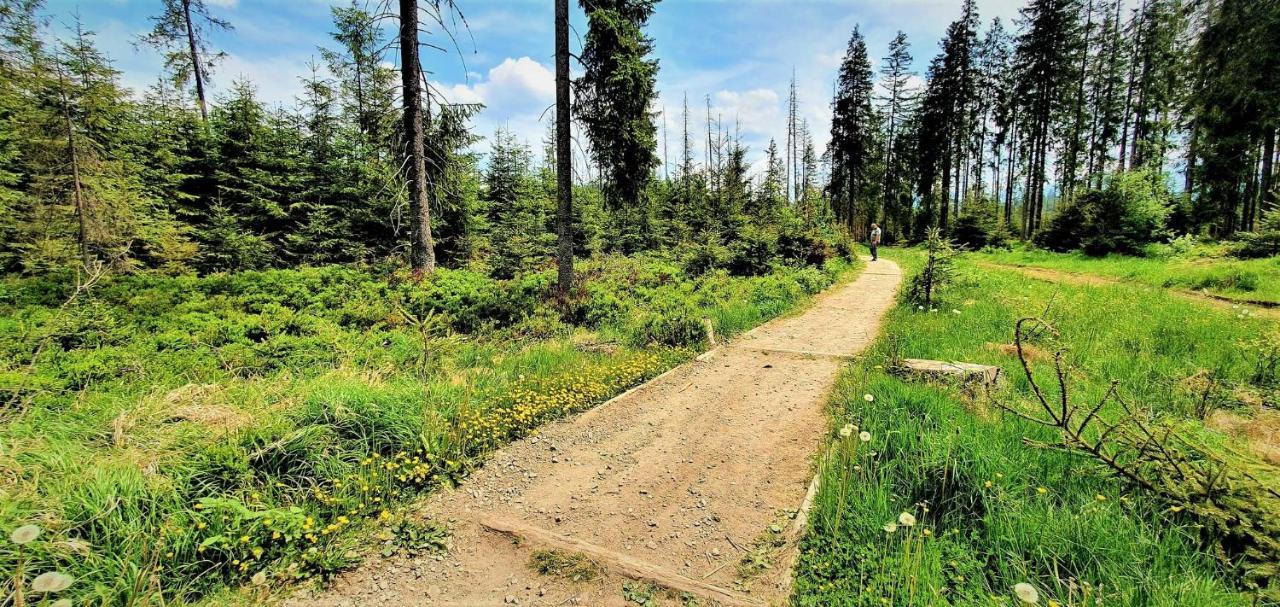 Eco Domek Z Duzym Ogrodem I Widokiem Murzasichle Εξωτερικό φωτογραφία