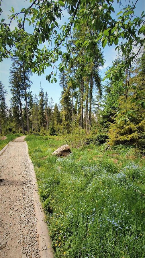 Eco Domek Z Duzym Ogrodem I Widokiem Murzasichle Εξωτερικό φωτογραφία