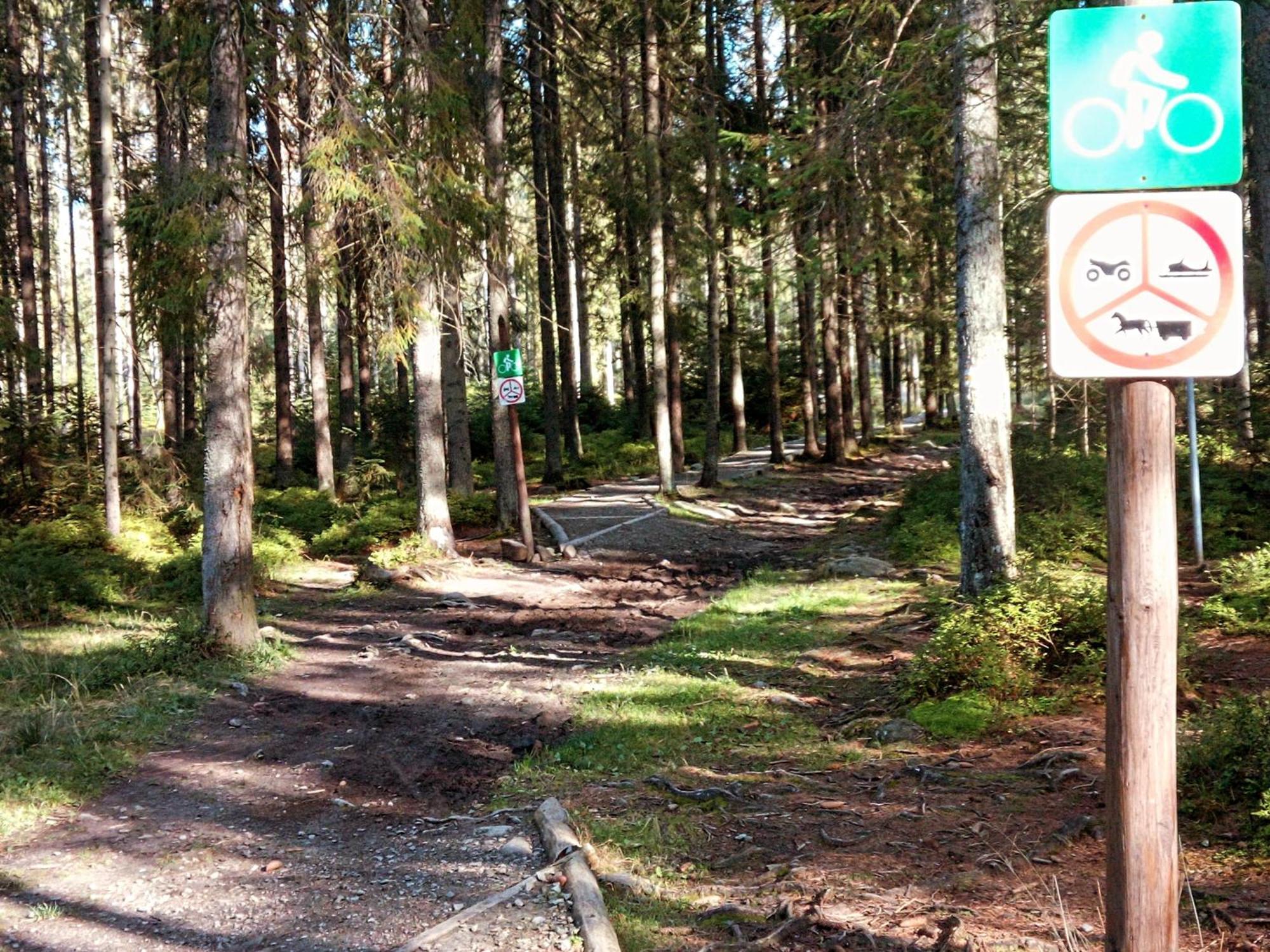 Eco Domek Z Duzym Ogrodem I Widokiem Murzasichle Εξωτερικό φωτογραφία